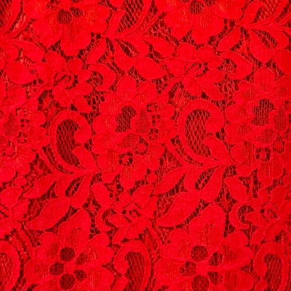 J. Crew Red Lace Holiday Dress - Picture 5 of 9